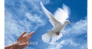 Vì sao phải bảo vệ hòa bình, chống lại chiến tranh?