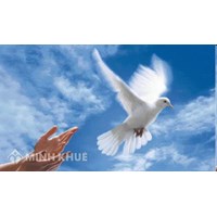 Vì sao phải bảo vệ hòa bình, chống lại chiến tranh?