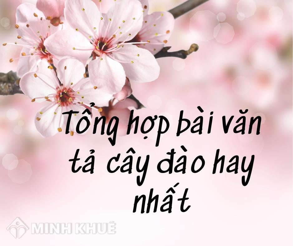 Tổng Hợp Bài Văn Tả Cây Đào Chọn Lọc Hay Nhất