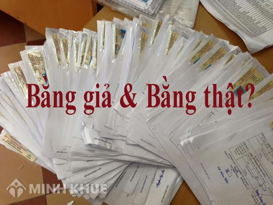 Cách phân biệt bằng lái xe thật và giả chính xác nhất?