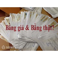 Cách phân biệt bằng lái xe thật và giả chính xác nhất?