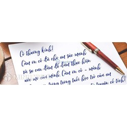 Tổng hợp bài viết tri ân thầy cô hay, cảm động và ý nghĩa nhất