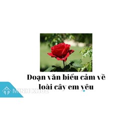 Viết đoạn văn biểu cảm về loài cây em yêu chọn lọc hay nhất