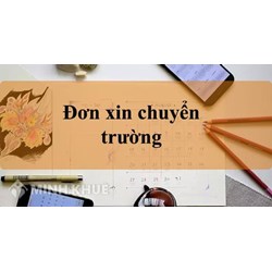 Mẫu đơn xin rút học bạ Cấp 1, 2, 3 theo quy định mới nhất