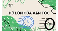 Độ lớn của vận tốc cho biết?