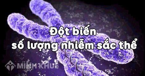 Bệnh đao đột biến có di truyền được không?
