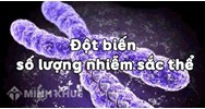 Đột biến số lượng nhiễm sắc thể là gì? Cho ví dụ và bài tập