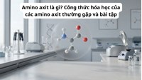 Amino axit là gì? Công thức hóa học của các amino axit thường gặp và bài tập