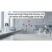 Amino axit là gì? Công thức hóa học của các amino axit thường gặp và bài tập