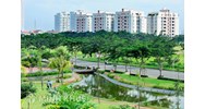 Diện tích cây xanh đô thị theo quy định pháp luật hiện nay?