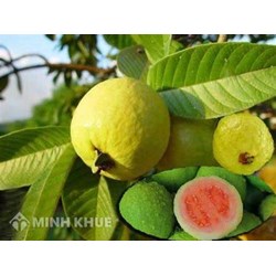 Ý nghĩa nhan đề bài thơ Sang thu - Hữu Thỉnh