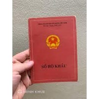 Nhập khẩu muộn cho con có bị phạt bao nhiêu tiền?