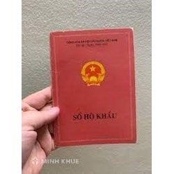 Nhập khẩu muộn cho con có bị phạt bao nhiêu tiền?
