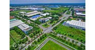 Diện tích trồng cây xanh trong khu công nghiệp quy định thế nào?