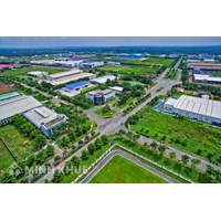 Diện tích trồng cây xanh trong khu công nghiệp quy định thế nào?