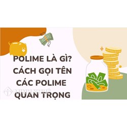 Polime là gì? Cách gọi tên các polime quan trọng thường gặp