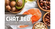 Chất béo là gì? Chất béo là trieste của axit béo với?