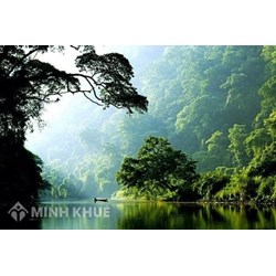 Thiên nhiên nước ta khác hẳn với các nước có cùng độ vĩ ở Tây Á, Bắc Phi nhờ?