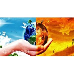 Em hãy viết thư gửi một người có tầm ảnh hưởng để trình bày lý do và cách thức họ cần hành động trước khủng hoảng khí hậu
