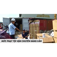 Tội tàng trữ, vận chuyển hàng cấm theo Điều 191 Bộ Luật Hình sự