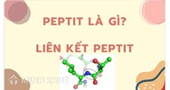 Peptit là gì? Liên kết peptit là gì? Có bao nhiêu liên kết peptit?