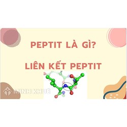 Peptit là gì? Liên kết peptit là gì? Có bao nhiêu liên kết peptit?
