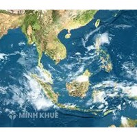 Biển Đông giàu về loại tài nguyên khoáng sản nào sau đây?