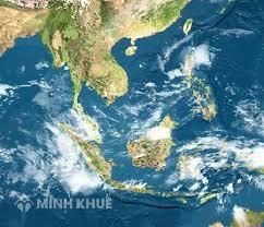 Biển Đông giàu về loại tài nguyên khoáng sản nào sau đây?