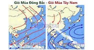 Khu vực chịu tác động mạnh nhất của gió mùa đông bắc ở nước ta là?