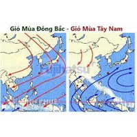 Khu vực chịu tác động mạnh nhất của gió mùa đông bắc ở nước ta là?