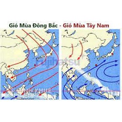 Khu vực chịu tác động mạnh nhất của gió mùa đông bắc ở nước ta là?