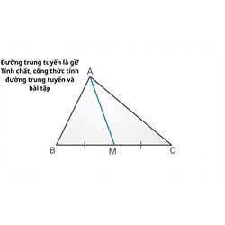 Đường trung tuyến là gì? Tính chất, công thức tính đường trung tuyến và bài tập
