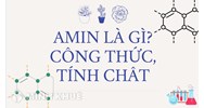 Amin là gì? Công thức cấu tạo, tính chất hóa học và bài tập về amin?