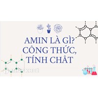 Amin là gì? Công thức cấu tạo, tính chất hóa học và bài tập về amin?