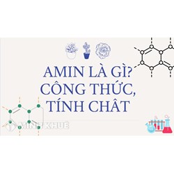 Amin là gì? Công thức cấu tạo, tính chất hóa học và bài tập về amin?