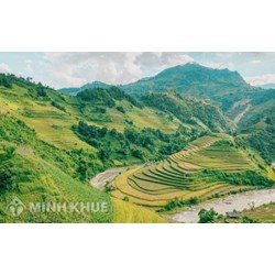 Điểm giống nhau chủ yếu của địa hình vùng đồi núi Tây Bắc và Đông Bắc là?