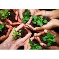 Bài thuyết trình về bảo vệ môi trường xanh sạch đẹp hay nhất