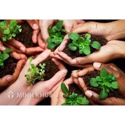 Bài thuyết trình về bảo vệ môi trường xanh sạch đẹp hay nhất