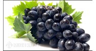 Thuốc thử để phân biệt Glucozơ và Fructozơ là gì?