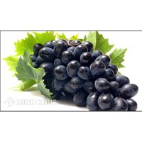 Thuốc thử để phân biệt Glucozơ và Fructozơ là gì?