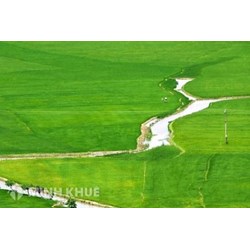 Đất đai ở đồng bằng ven biển miền Trung có đặc tính nghèo, nhiều cát, ít phù sa do?