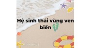 Hệ sinh thái vùng ven biển nước ta chiếm ưu thế nhất là?