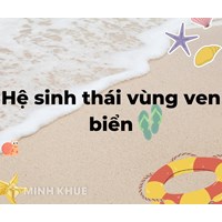 Hệ sinh thái vùng ven biển nước ta chiếm ưu thế nhất là?