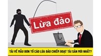 Mẫu đơn tố cáo lừa đảo chiếm đoạt tài sản mới nhất