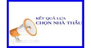 Mẫu Báo cáo thẩm định kết quả lựa chọn nhà thầu qua mạng
