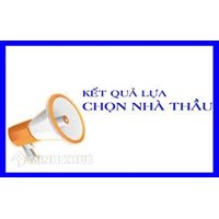 Mẫu Báo cáo thẩm định kết quả lựa chọn nhà thầu qua mạng