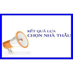 Mẫu Báo cáo thẩm định kết quả lựa chọn nhà thầu qua mạng