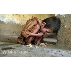 Mẫu đơn xin trợ cấp khó khăn và Cách viết đơn xin hỗ trợ