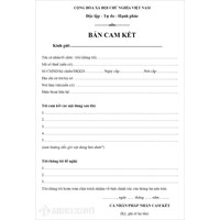 Mẫu bản cam kết cá nhân, tổ chức theo quy định mới nhất