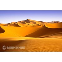 Các hoang mạc lớn trên thế giới thường phân bố ở khu vực cận chí tuyến là do?
